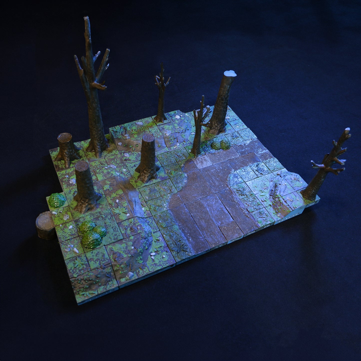 Starter Forest Kit 01
