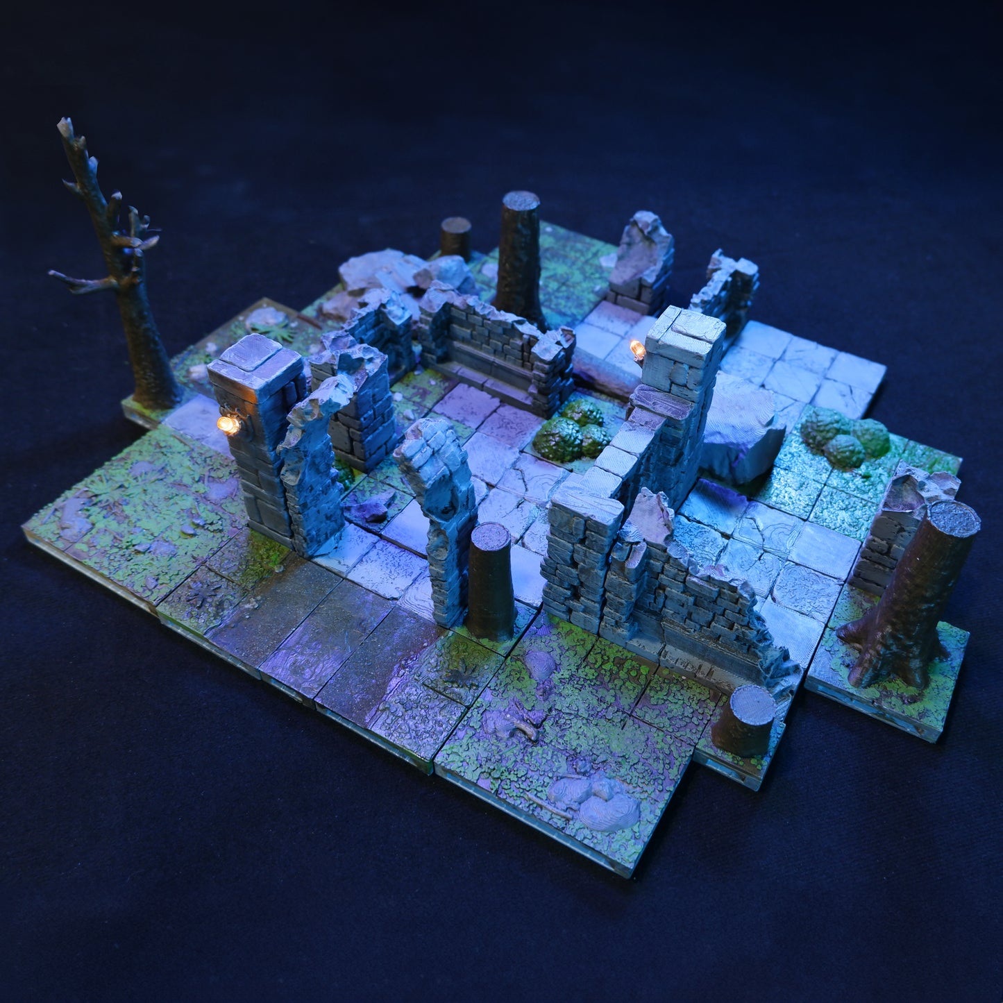 Starter Forest Ruins 01