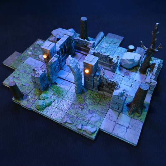 Starter Forest Ruins 01